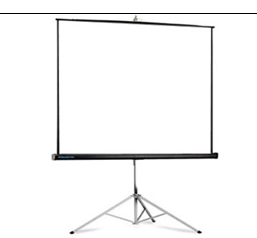 Преносим прожекционен екран Projecta PictureKing 244х244см  